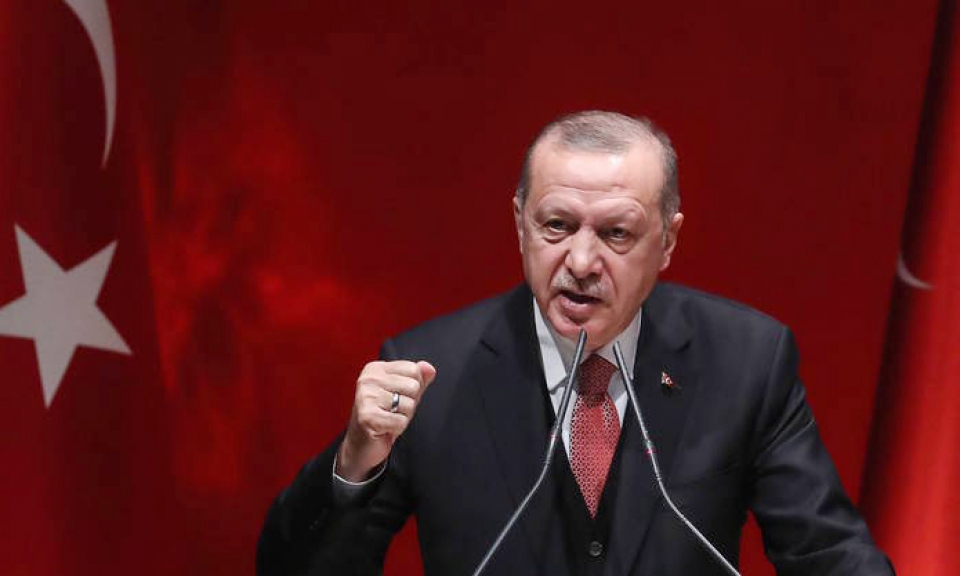 Эксперт: из-за ухудшения дел в экономике Эрдогану все время нужны новые козлы отпущения