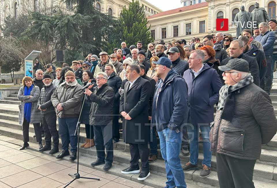 Грузинская оппозиция созывает все силы на акцию протеста 24 февраля 