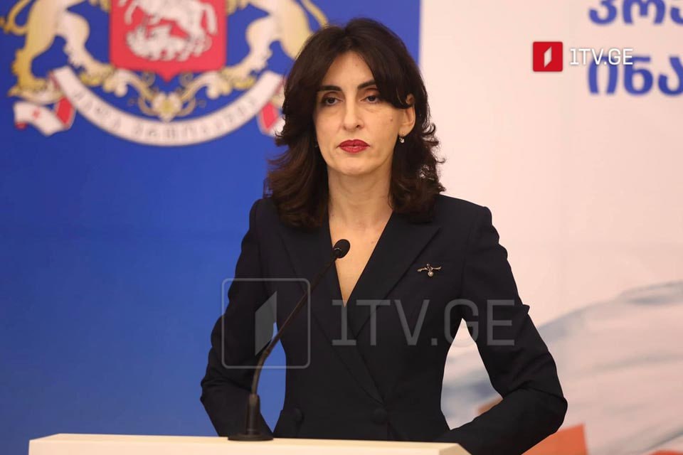 Глава МИД Грузии коллегам из ЕС: Необходимо уважать демократически избранные правительства