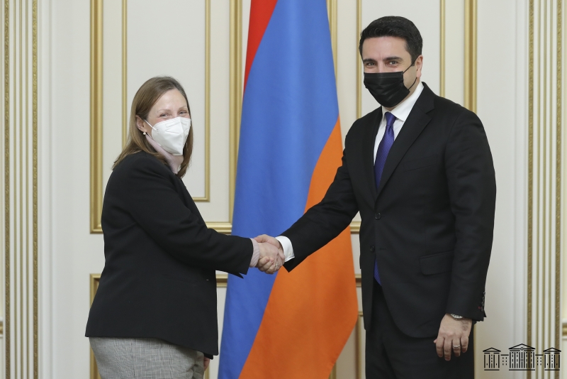 Спикер НС и посол США в РА обсудили вопросы армяно-американского сотрудничества