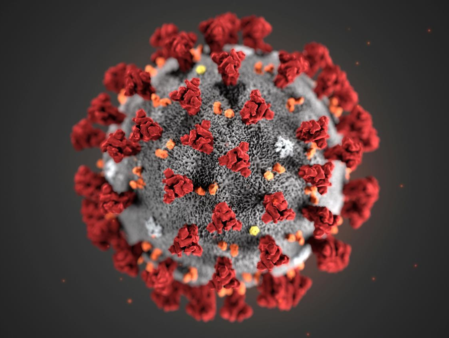 ВОЗ: Не существует доказательств значительных мутаций нового типа коронавируса