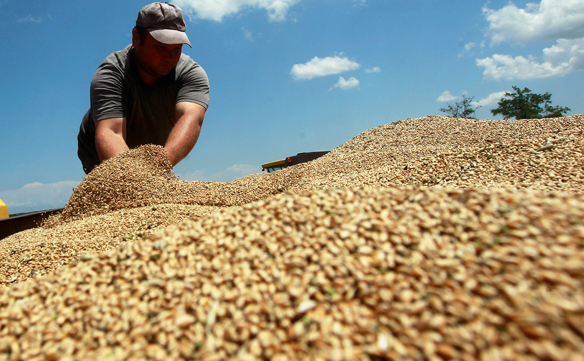 Грузия прекратила экспорт пшеницы и ячменя