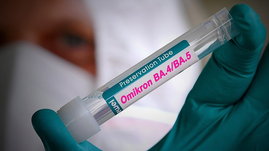 В Армении преобладают варианты омикрон-штамма коронавируса BA.4 и BA.5