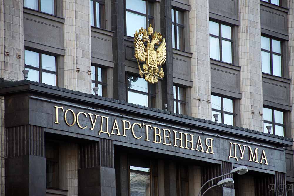 Госдума приняла закон о льготном получении российского гражданства