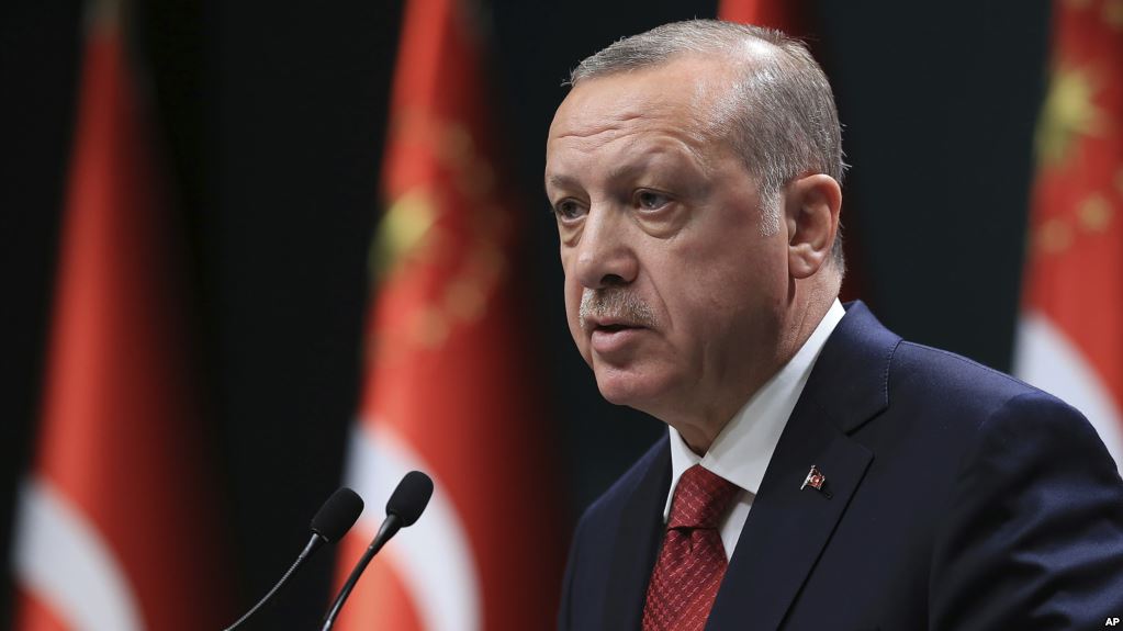 «Эффект Африна» и экономический кризис: причины досрочных выборов в Турции