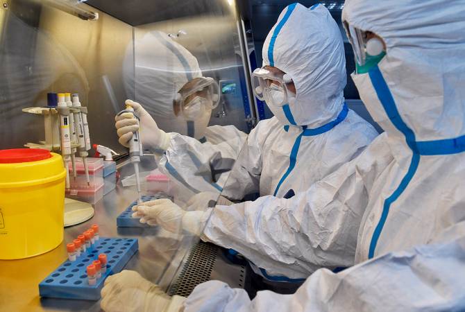 Власти КНР считают не убедительным доклад об угрозе пандемии от нового типа свиного гриппа
