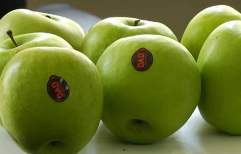 Ադրբեջանական խնձորի գործով ՊԵԿ աշխատակիցներ են ձերբակալվել. նրանք կաշառք են վերցրել