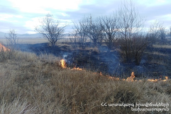 Лето в декабре: лесной пожар вспыхнул вблизи армяно-грузинской границы 