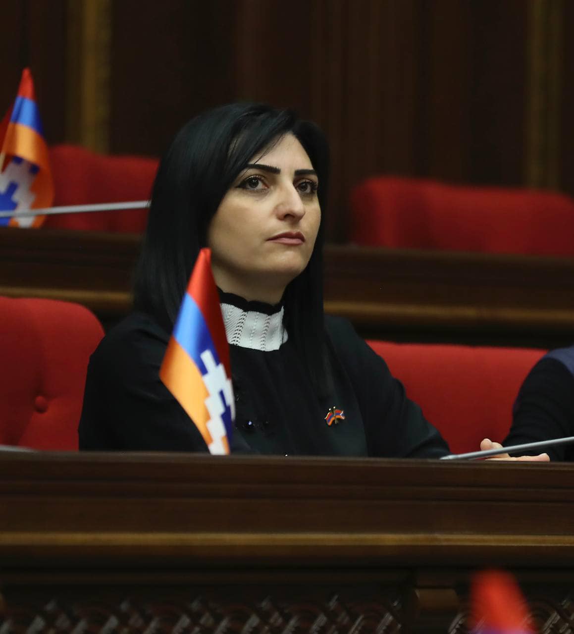 Сдержать азербайджанскую агрессию: Тагуи Товмасян обратилась в международные структуры