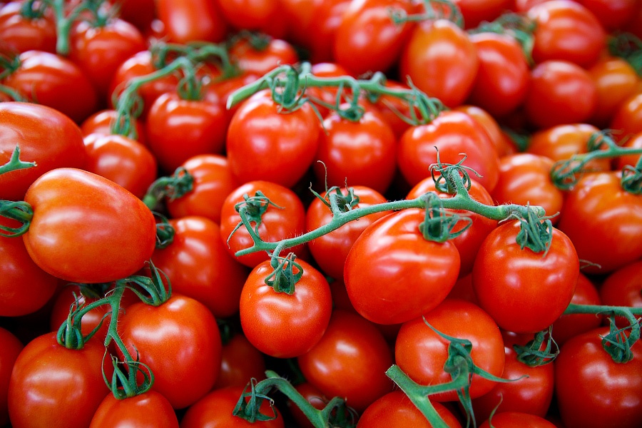 Россельхознадзор усилит контроль за томатами из Армении из-за подозрений в реэкспорте