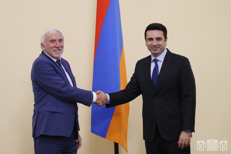 Ален Симонян для решения гуманитарных вопросов в Арцахе обратился к чешским партнерам