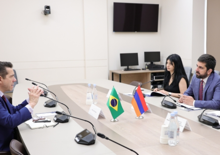 Подчеркнута важность развития армяно-бразильских межпарламентских отношений