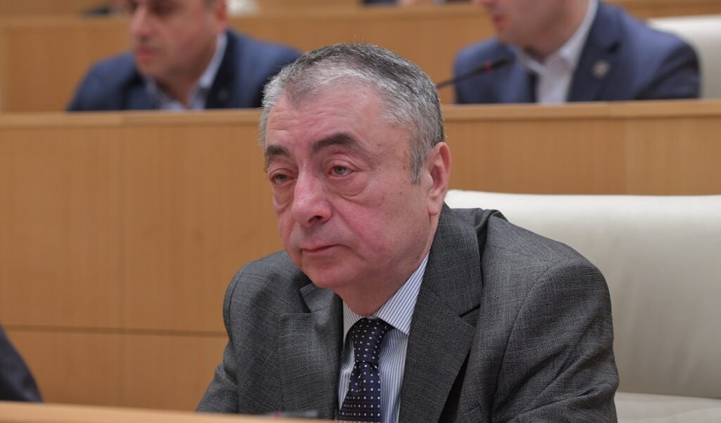 Политическая деятельность не является индульгенцией для оппозиции - грузинский депутат  