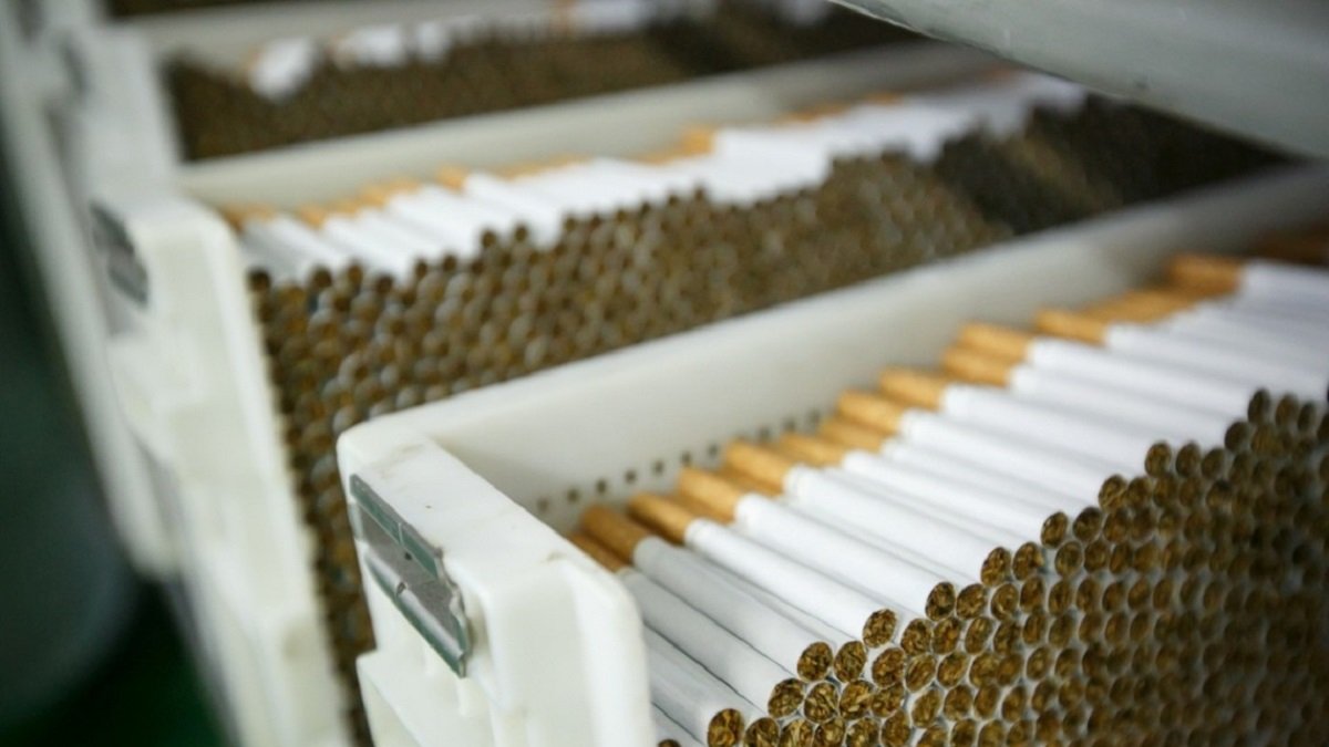 Из Еревана в Кабул: в Краснодаре задержали 40 тонн контрабандных сигарет