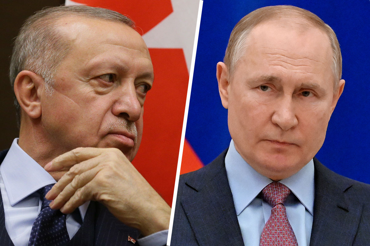 Конкретики пока что нет: источник о дате встречи президентов Турции и России