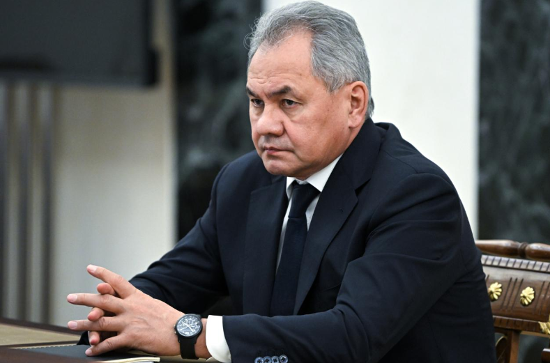 Шойгу назвал непроработанными планы Армении заменить РФ в управлении ее ж/д