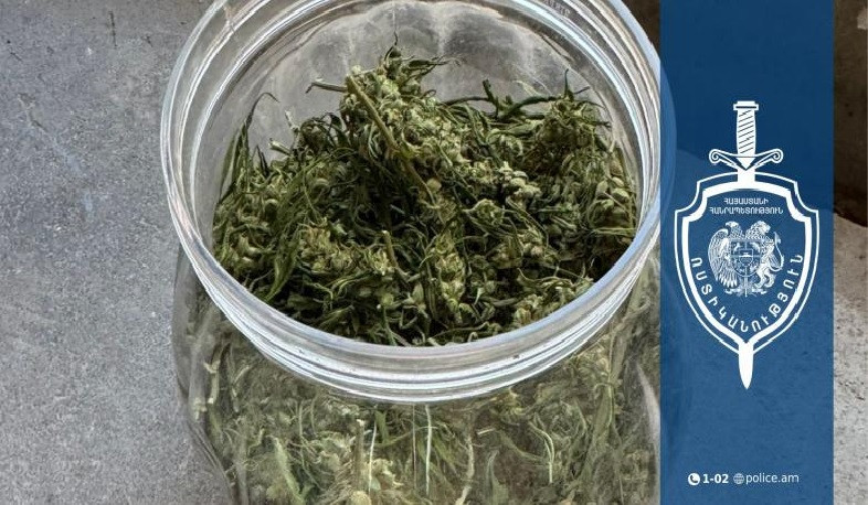 Բռնակոթ գյուղի բնակիչը կանեփ էր աճեցնում և թմրամիջոց պատրաստում