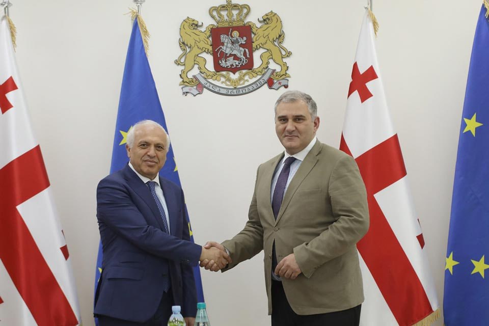 Посол Армении обсудил вопросы сотрудничества с главой Минздрава Грузии