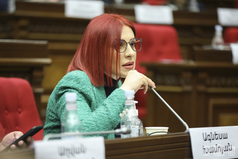 В блоке «Армения» раскритиковали Тагуи Товмасян за ее отказ подать в отставку