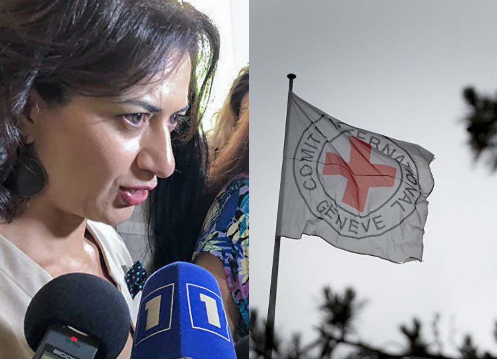На Азербайджан нужно оказать давление: Красный Крест в Баку посетил Карена Казаряна