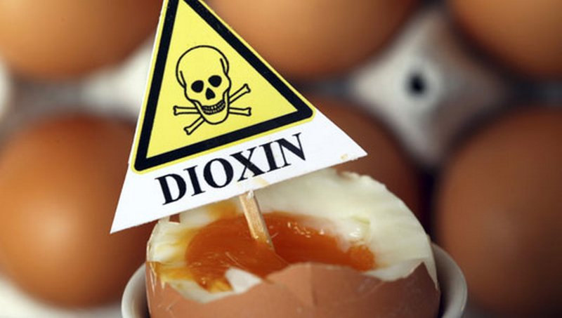 Диоксины в яйцах и курятине, тяжелые металлы в овощах и фруктах: экологи встревожены 