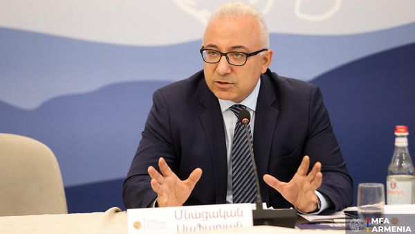 ԹՐԻՓՓ-ը լինելու է ԵԱՏՄ կարգավորումներով, այս պահին ՀՀ-ն ԵԱՏՄ անդամ է. ԱԳ փոխնախարար