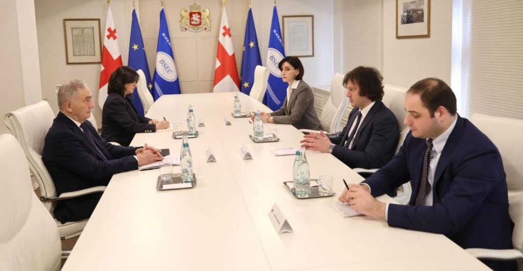  Грузия становится страной-председателем ОЧЭС на шесть месяцев  