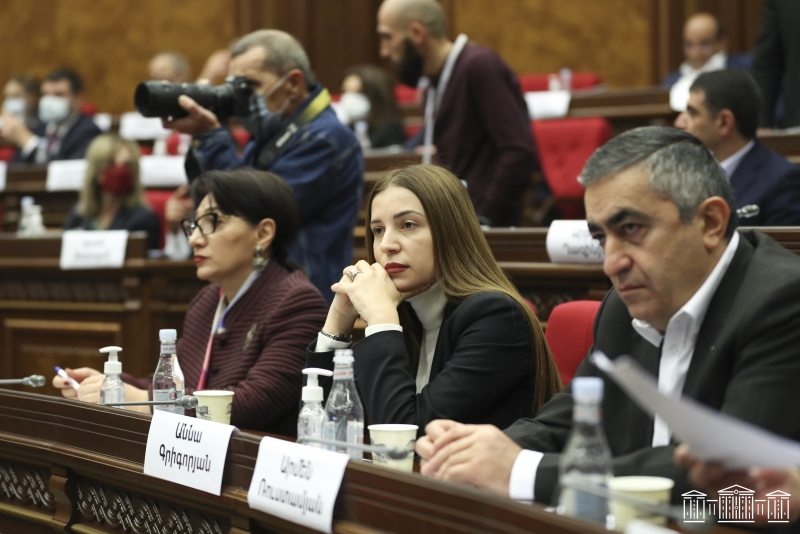 Анна Григорян: Все проблемы страны могут решиться лишь в Ереване