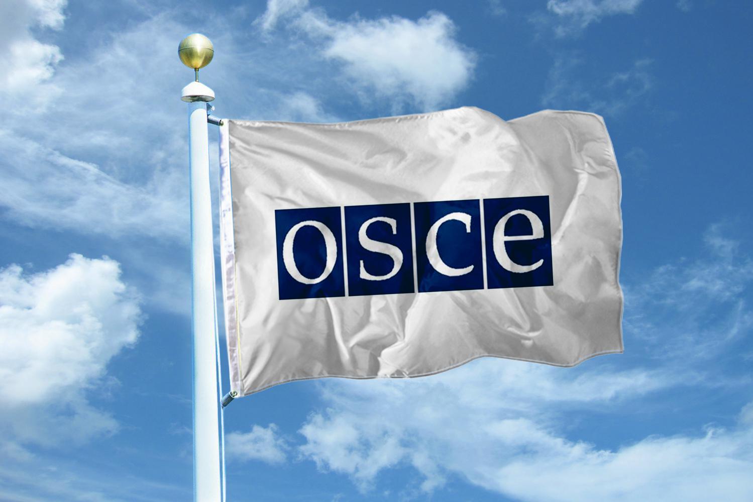 МВД России решило увеличить присутствие в миссиях ОБСЕ