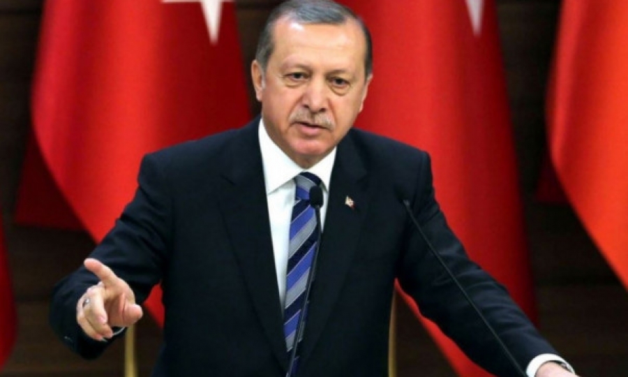 Эрдоган: Турция продолжит борьбу с курдскими формированиями в Сирии 