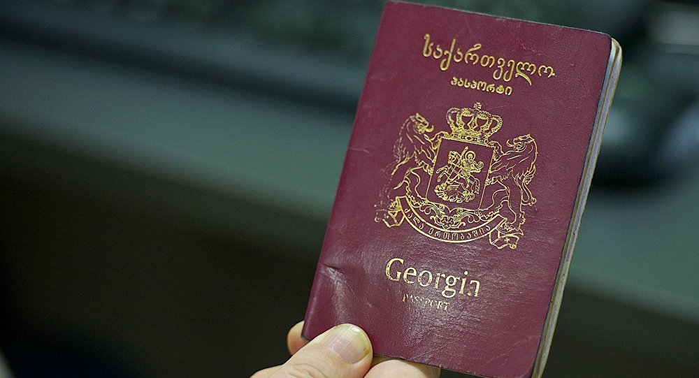 Более либеральный подход: гражданам Грузии позволят иметь двойное гражданство