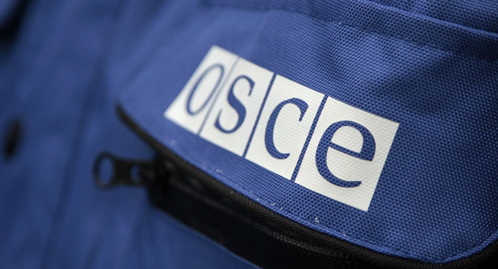Миссия ОБСЕ проведет плановый мониторинг