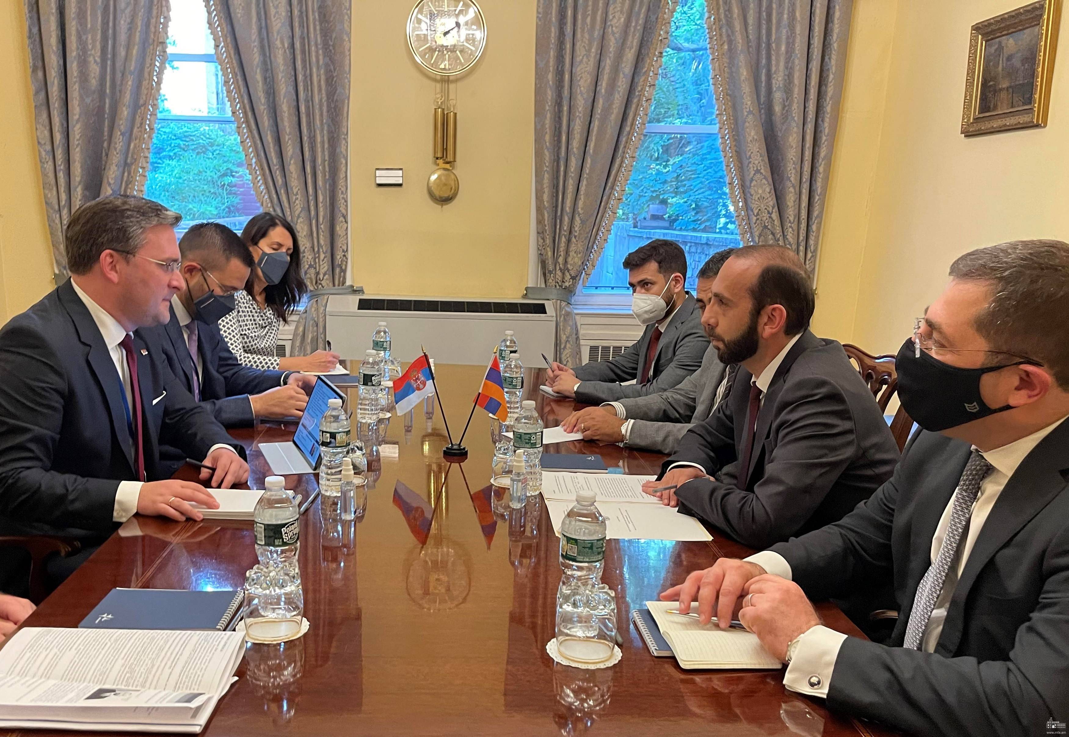 Главы МИД Армении и Сербии обсудили вопросы, касающиеся сотрудничества по линии ЕАЭС