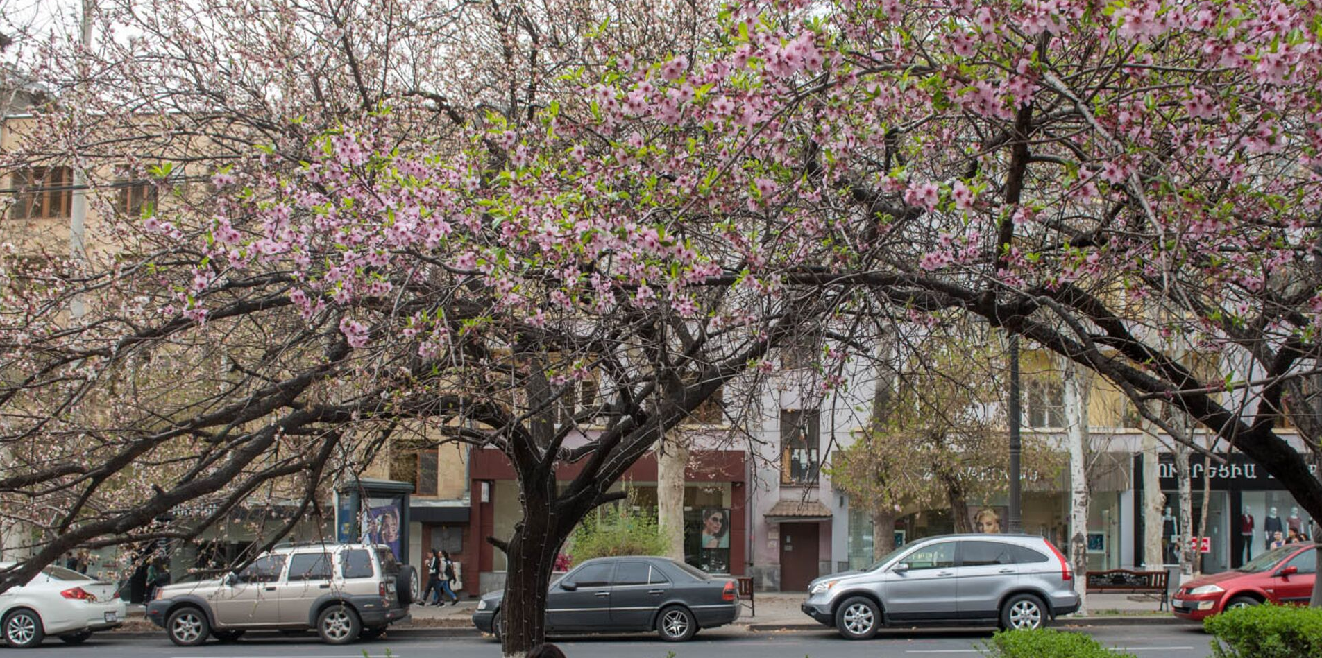 В ближайшие дни в Армении потеплеет, но ожидаются дожди