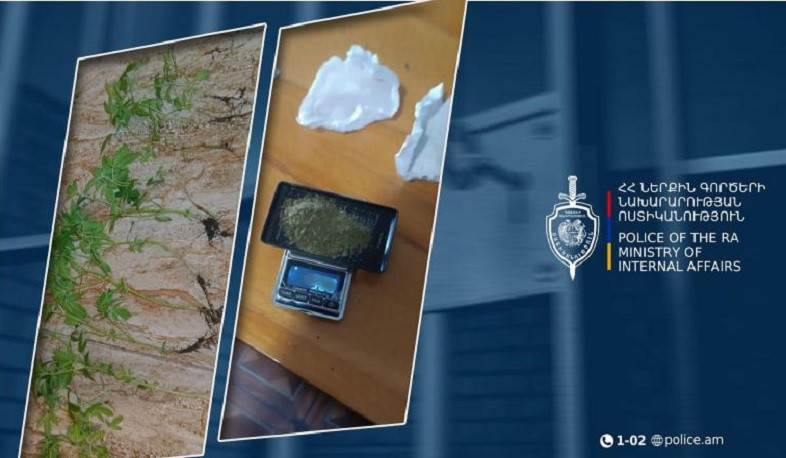 Արարատի համայնքային ոստիկանները քաղաքացու տան զննությամբ կանեփ են հայտնաբերել