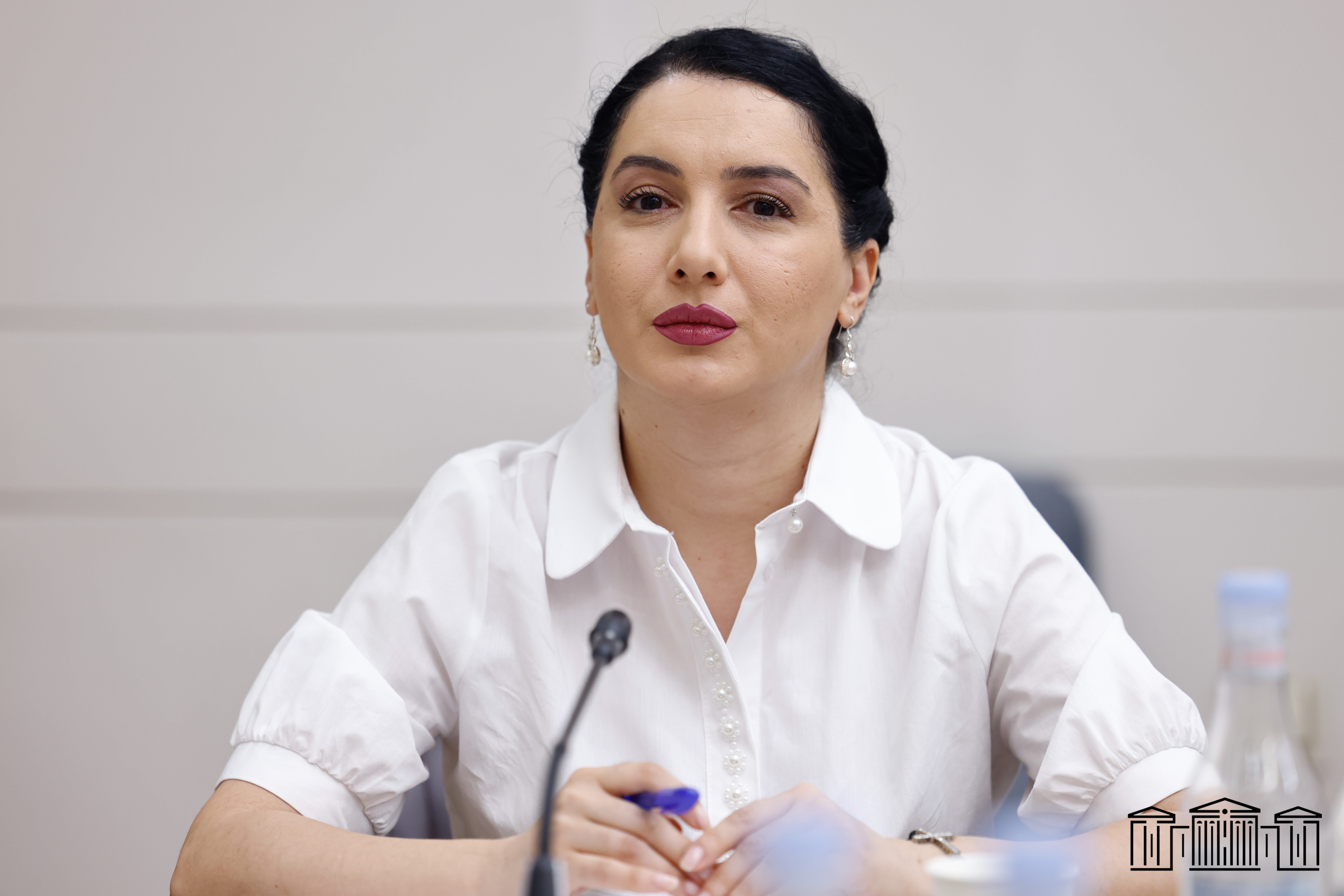 Մարիաննա Ղահրամանյանն ընտրվել է ՄԻ պաշտպանության մշտական հանձնաժողովի փոխնախագահ