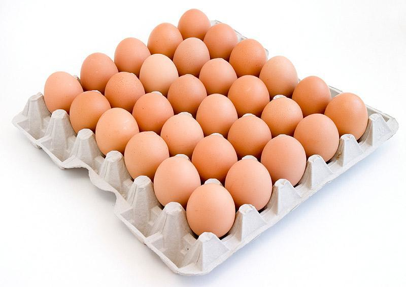 Совет ЕЭК принял решение обнулить пошлины на импорт в РФ куриных яиц с 1 января