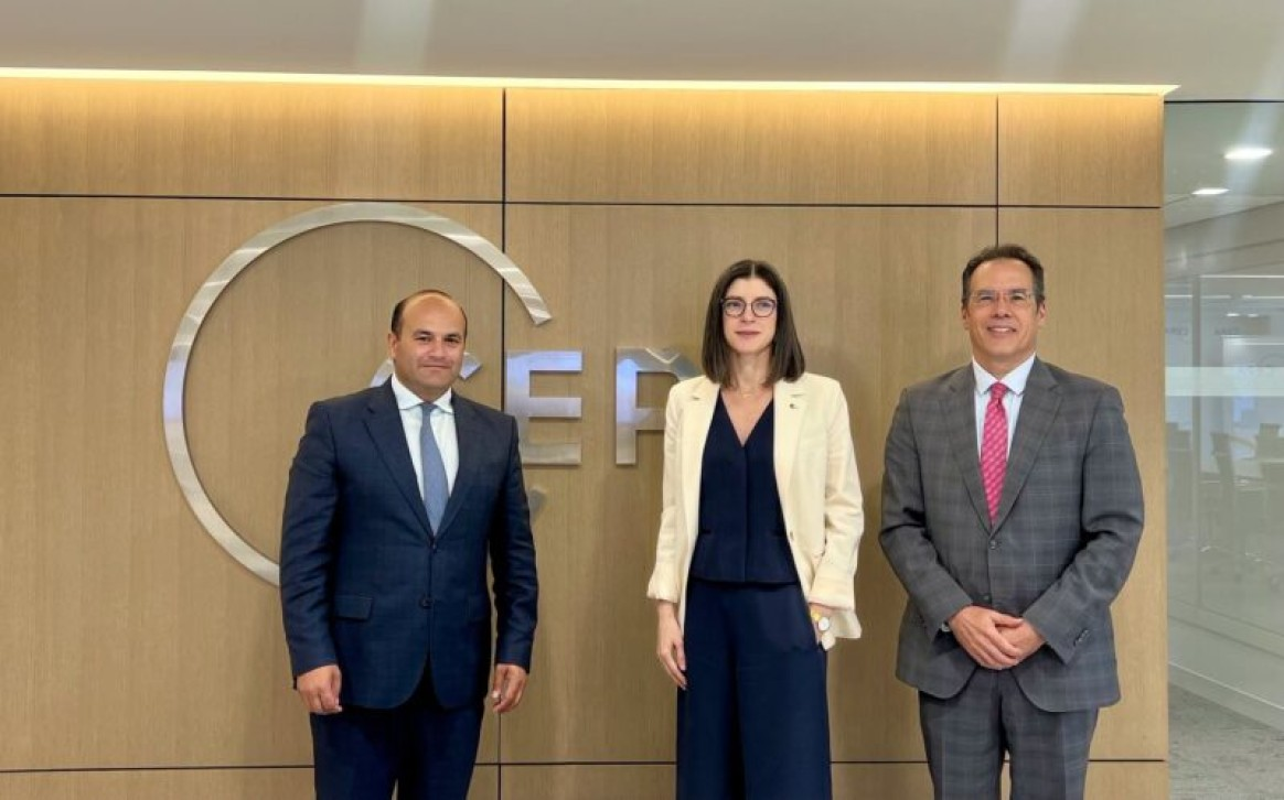 ԱՄՆ-ում ՀՀ դեսպանը հանդիպել է CEPA վերլուծական կենտրոնի ղեկավարության հետ