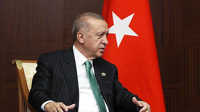 Эрдоган заявил о «закрытых дверях» для посла США в Турции после его встречи с оппозицией