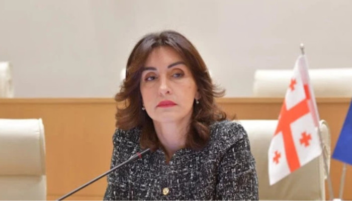 МИД Грузии: приостановка диалога с ЕС в 2024 году была решением Брюсселя